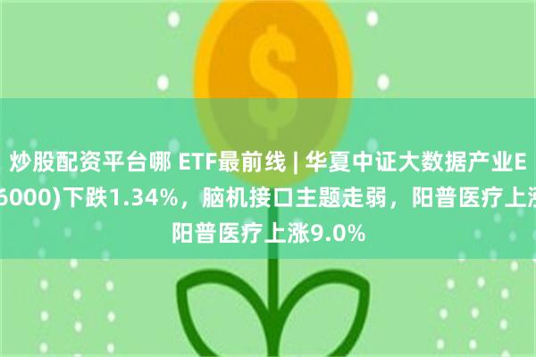 炒股配资平台哪 ETF最前线 | 华夏中证大数据产业ETF(