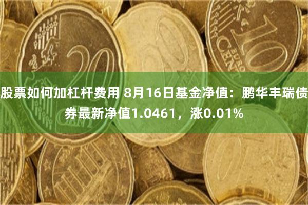 股票如何加杠杆费用 8月16日基金净值：鹏华丰瑞债券最新净值1.0461，涨0.01%