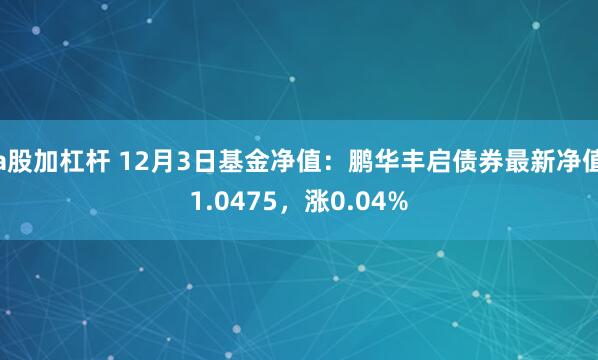 a股加杠杆 12月3日基金净值：鹏华丰启债券最新净值1.0475，涨0.04%