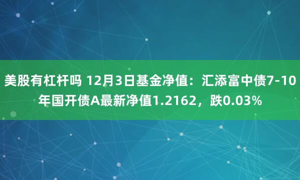 美股有杠杆吗 12月3日基金净值：汇添富中债7-10年国开债A最新净值1.2162，跌0.03%