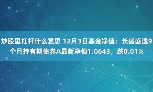 炒股里杠杆什么意思 12月3日基金净值：长盛盛逸9个月持有期债券A最新净值1.0643，跌0.01%