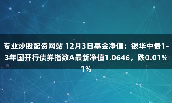 专业炒股配资网站 12月3日基金净值：银华中债1-3年国开行债券指数A最新净值1.0646，跌0.01%