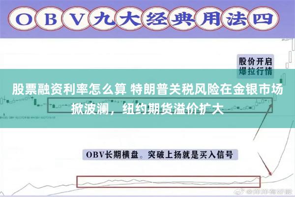 股票融资利率怎么算 特朗普关税风险在金银市场掀波澜，纽约期货溢价扩大