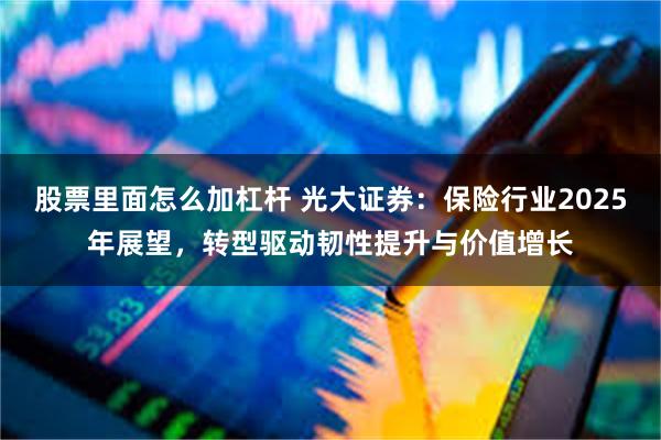 股票里面怎么加杠杆 光大证券：保险行业2025年展望，转型驱动韧性提升与价值增长