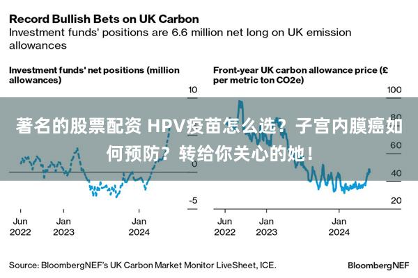 著名的股票配资 HPV疫苗怎么选？子宫内膜癌如何预防？转给你关心的她！