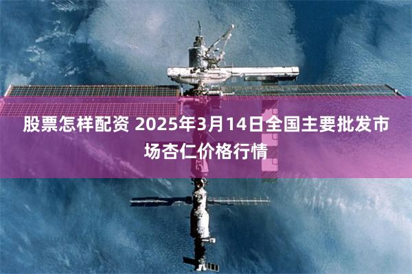 股票怎样配资 2025年3月14日全国主要批发市场杏仁价格行情