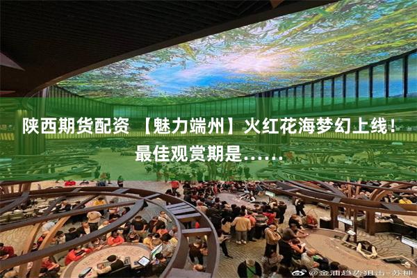 陕西期货配资 【魅力端州】火红花海梦幻上线！最佳观赏期是……